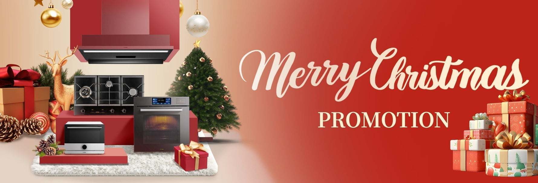Merry Christmas Promotion!